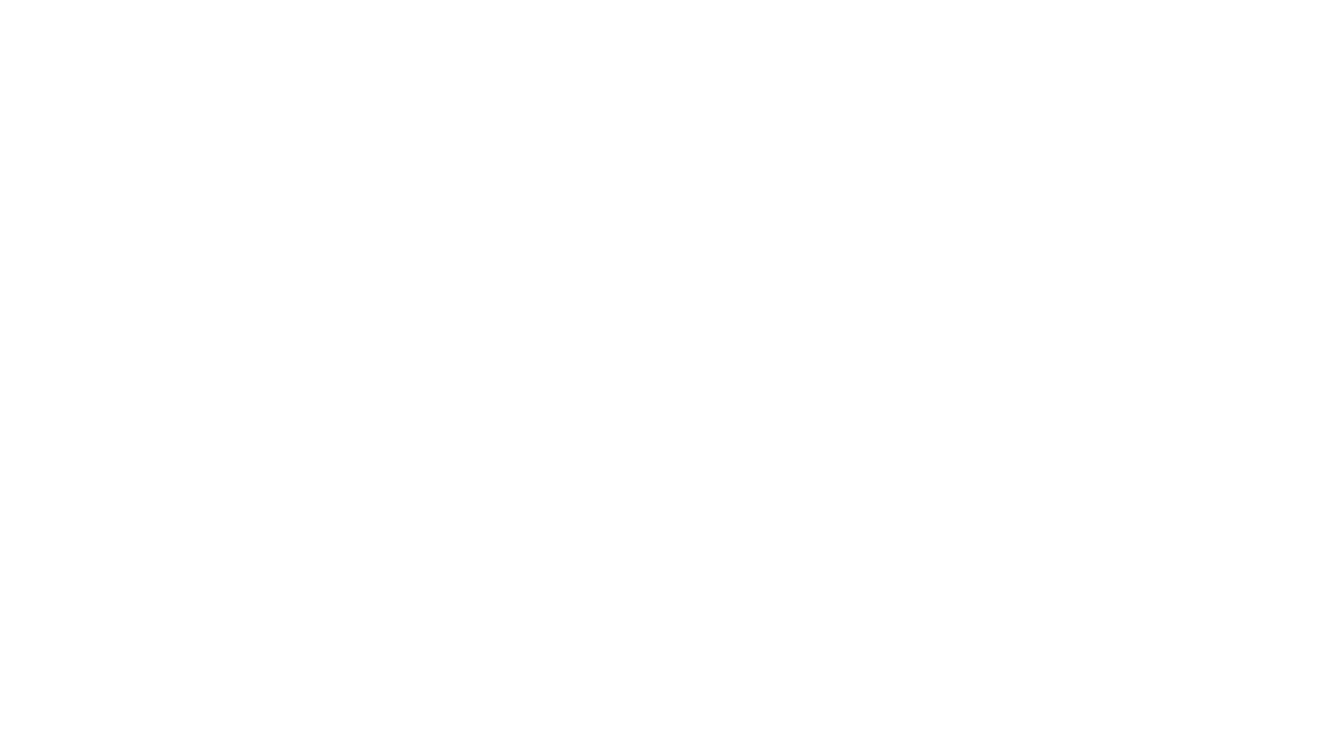 Logo Insanus Concursos